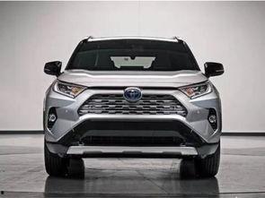 荣放最新爆料视频